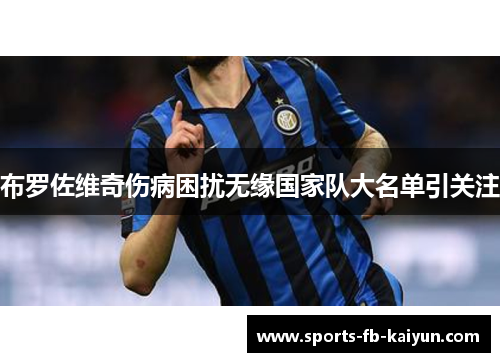 布罗佐维奇伤病困扰无缘国家队大名单引关注 布罗佐维奇伤病困扰无缘国家队大名单引关注